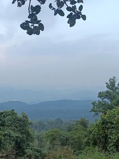 The view from a high point overlooking the vast forests of the Kanha landscape. The sense of peace and scale you get from up here is truly breathtaking.