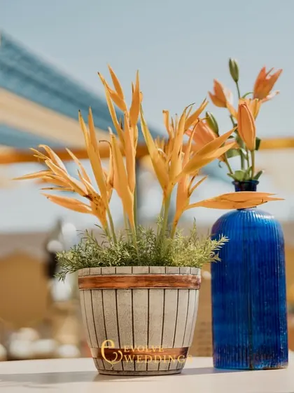 A simple yet elegant detail of a single orange flower in a blue vase. This minimalist arrangement provides a beautiful pop of color against the bright, sunny backdrop.