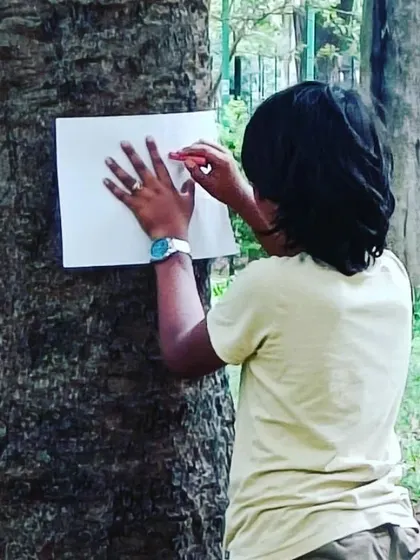 A child makes a bark rubbing, capturing the unique texture of a tree's skin. This is a wonderful way to combine art with scientific observation.