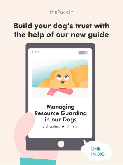 Building trust is the key to managing resource guarding. This image promotes my detailed guide on the topic, which walks you through five chapters of preventative exercises and management techniques to help your dog feel more secure.