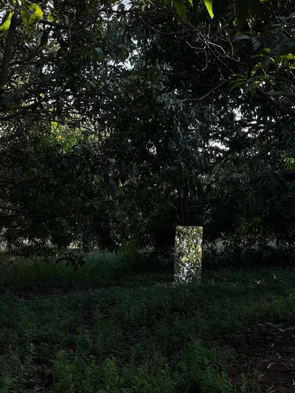A mirrored mock-up disappears into the landscape, reflecting the surrounding greenery. We use these studies to explore ideas about form, materiality, and the building's relationship with nature.