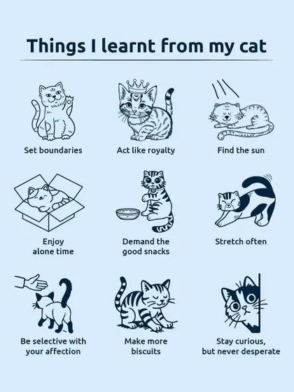 Life lessons from a cat: set boundaries, act like royalty, demand the good snacks, and enjoy alone time. They really do have it all figured out.