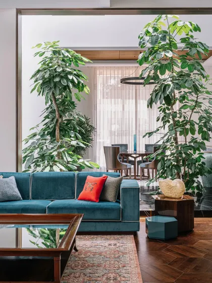 By using large indoor trees, we created a natural partition between the living and dining areas. This design choice maintains an open, airy feel while defining each space and reinforcing the home's connection to nature.