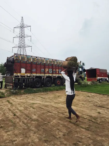 A worker carries a roll of turf towards the truck, with our large-scale transport vehicles in the background, ready for Pan-India delivery.