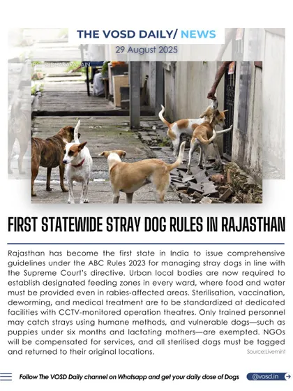 Rajasthan has become the first state in India to issue comprehensive, statewide rules for managing stray dogs. The guidelines mandate feeding zones, standardized medical facilities, and humane capture methods.