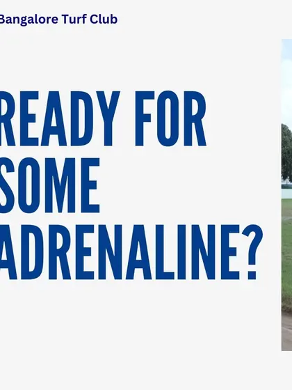 Ready for some adrenaline? The November racing season is here with heart-pounding excitement.
