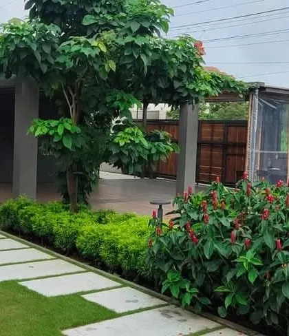 A well-established garden for a modern property, featuring a creeper-covered pergola, neatly trimmed hedges, and a mix of flowering shrubs. This view shows how I integrate hardscape structures with softscape elements to create a cohesive and inviting outdoor living area.