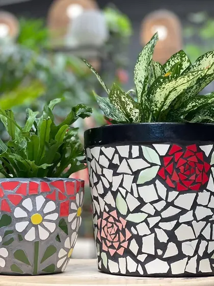 Two of my mosaic planters, one with a daisy pattern and the other with roses. These one-of-a-kind, handmade pots are a cheerful way to add color and personality to your plant collection.