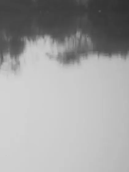 A minimalist monochrome shot of two flamingos, their reflections creating a sense of perfect symmetry and calm.