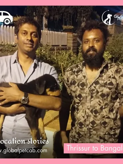 A young Rottweiler puppy being handed over to his new family in Bangalore after a safe road trip from Thrissur. We ensure even the youngest pets travel with utmost care.