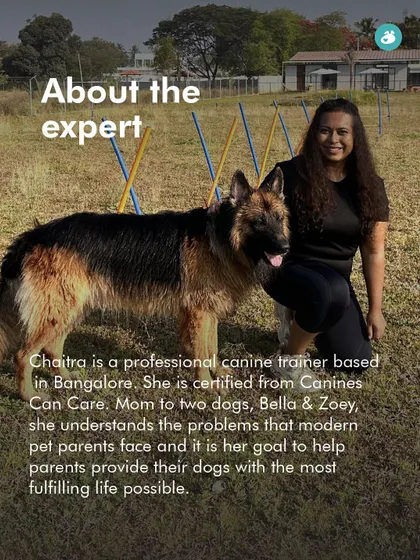 Meet Chaitra, a professional canine trainer who understands the problems modern pet parents face. She is dedicated to helping parents provide a fulfilling life for their dogs.
