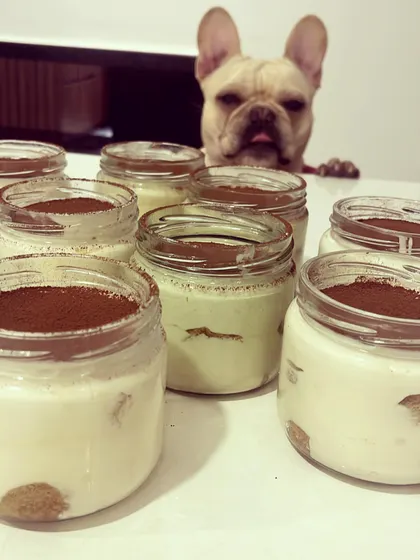 My homemade Baileys Tiramisu, served in individual jars, is the perfect sweet ending to an Italian meal. Even the dog seems to approve of this new batch.