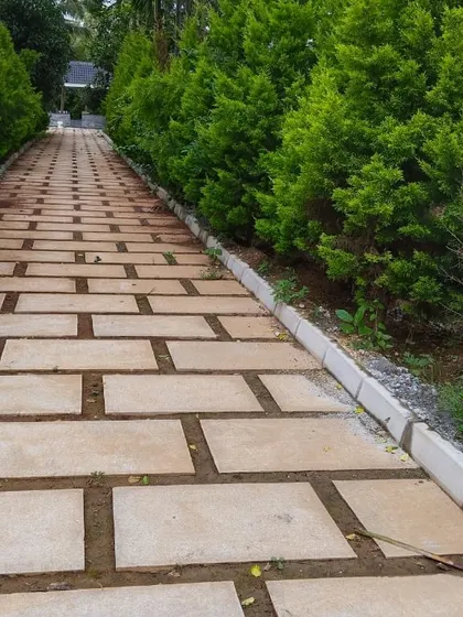 A long, straight path made of stone pavers, flanked by a row of lush evergreen trees. This creates a strong visual line and a formal feel, suitable for entryways or connecting different garden zones.
