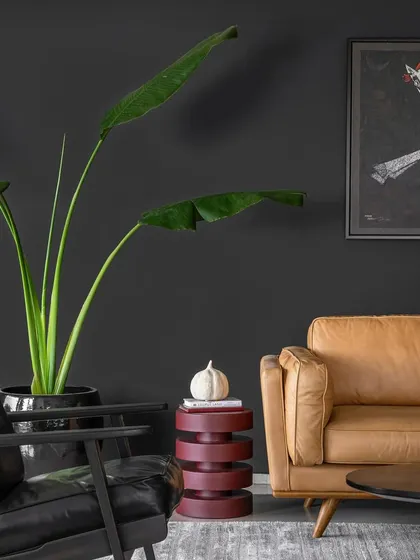 A detail of the living room in Apartment 1600, showing the contrast between a dark accent wall, a tan leather sofa, and a bold piece of art.