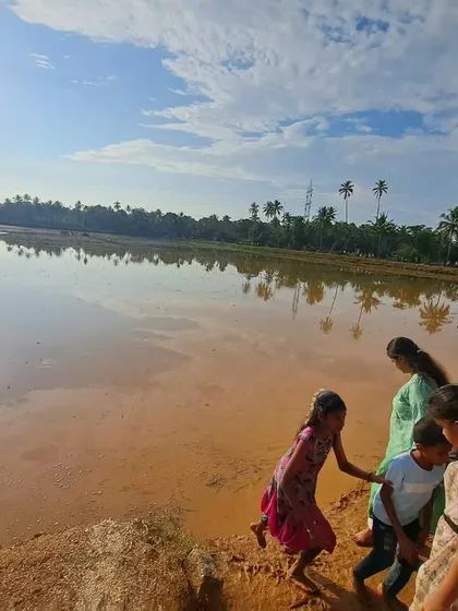 The serene and vast Kambala field at Vandaru, where the muddy water is considered 'tirtha' or holy water.