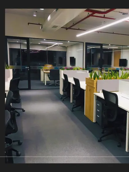 The open-plan workstation area at the Crocs office. We designed low partitions with integrated planters to maintain a sense of openness while providing employees with a connection to nature at their desks.
