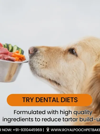 Dental diets, formulated with high-quality ingredients, can significantly reduce tartar build-up. My treats are designed to be crunchy and satisfying to help support your dog's dental hygiene.