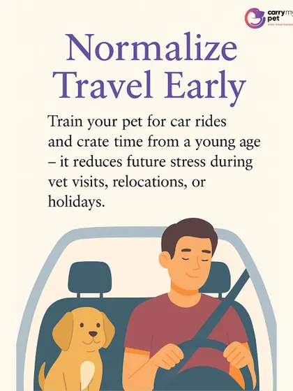 Normalizing travel from a young age is key. Training your pet for car rides and crate time early on reduces future stress during vet visits or relocations.