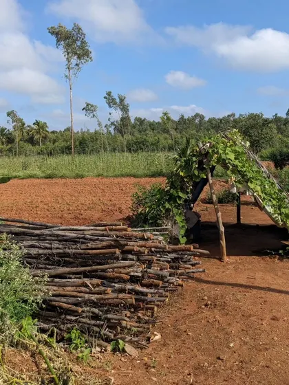 A rustic scene from the countryside. Our rides take you through farmland and villages, offering a glimpse of rural life.