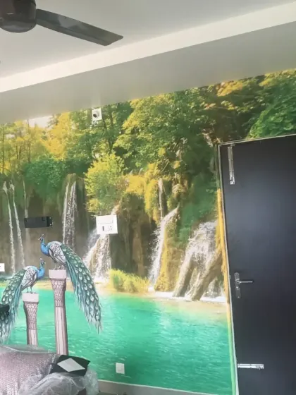 A different angle of the waterfall mural, showing how it integrates with the room's layout and door placement.