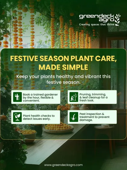 This festive season, make sure your plants shine with you. We offer simple, on demand services like pruning, trimming, and health checks to get your garden celebration ready.