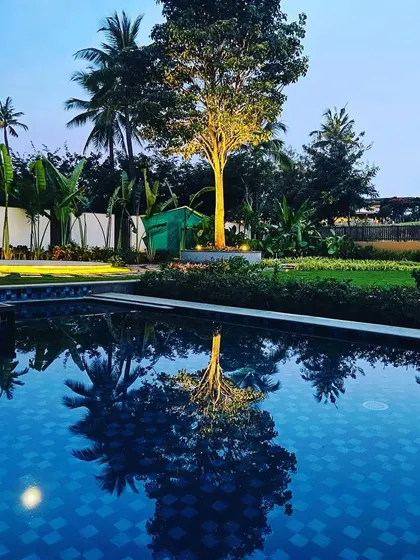 The reflection of the illuminated tree and the moon on the pool's surface shows how we design landscapes to interact with their natural surroundings.