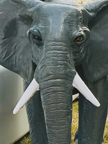 Another close-up of the majestic elephant prop, a key feature in creating a memorable theme for outdoor events.