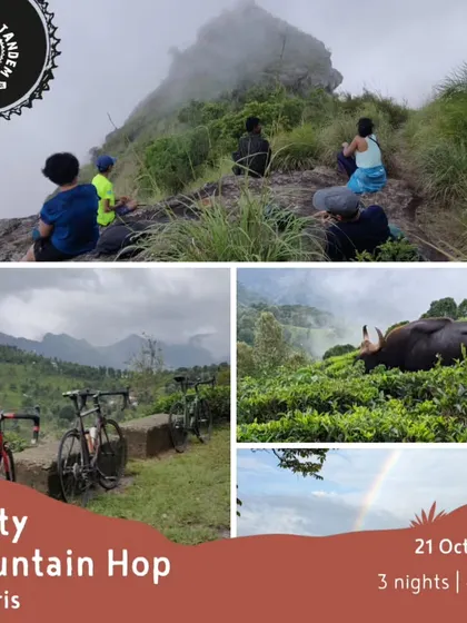 This collage for our 'Misty Mountain Hop' tour showcases the highlights: misty peaks, wildlife sightings like the Indian Gaur, and bikes resting at a viewpoint. It's a true Nilgiris adventure.