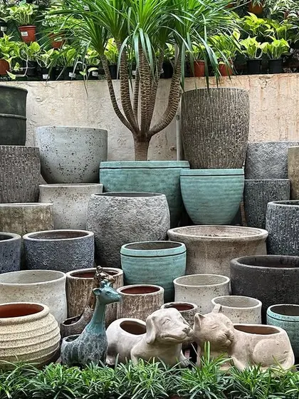 I offer a huge collection of planters, including big glazed ceramics, rustic pots, concrete, and terracotta. This image shows a beautifully arranged cluster of rustic planters, demonstrating the variety of textures and styles available.