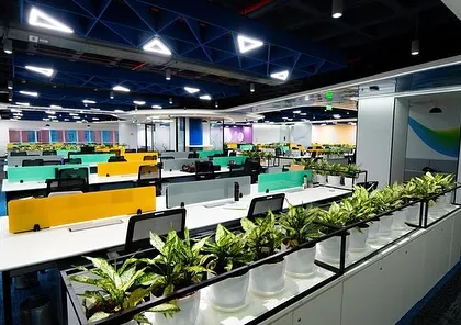 A long shot of the Tata Consumer Products workspace, showing how rows of planters on storage units create green corridors. This design improves the environment for a large number of employees in an open-plan setting.