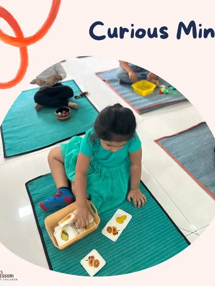 Curious minds at work. A child is absorbed in her card-sorting activity, demonstrating the deep focus that our environment encourages.