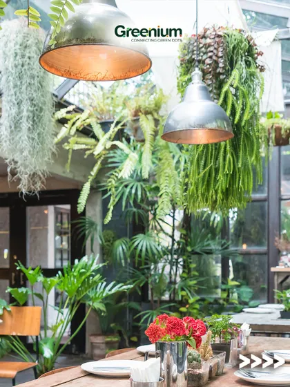 This rooftop cafe design is filled with hanging ferns and other lush plants, creating a greenhouse-like feel. The combination of greenery and industrial-style lighting gives the space a trendy, urban vibe.