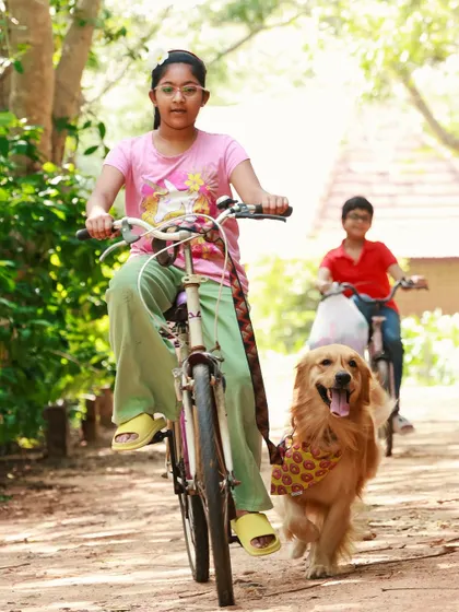 The perfect childhood memory in the making. A girl on her bicycle with her happy Golden Retriever running alongside her is a scene straight out of a storybook.