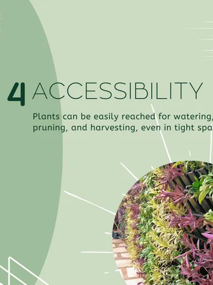 A duplicate of ID 172, this graphic explains the accessibility of vertical gardens.