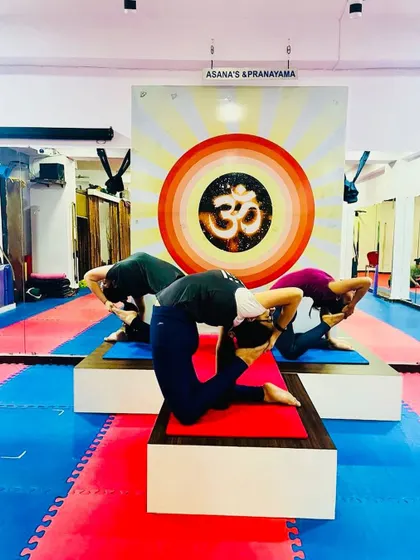 A group of students practicing Kapotasana together. The shared focus in the room helps everyone to go deeper into their own practice.