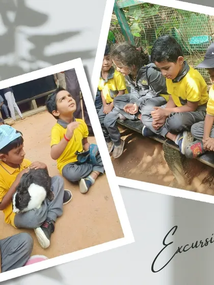 A quiet moment of observation and interaction with a rabbit. We encourage children to sit calmly and let the animals get comfortable with them.