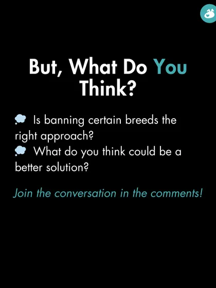 We open the floor for discussion: Is banning certain breeds the right approach, or are there better solutions? We encourage our community to join the conversation.
