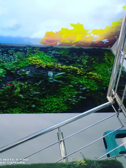 A vertical garden installed below a skylight or a ceiling with a sky print. The lighting from above makes the artificial plants look even more vibrant and real.