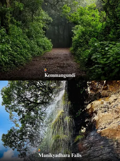 A visual guide to Chikmagalur's beauty, featuring the misty trails of Kemmangundi and the gentle cascade of Manikyadhara Falls.