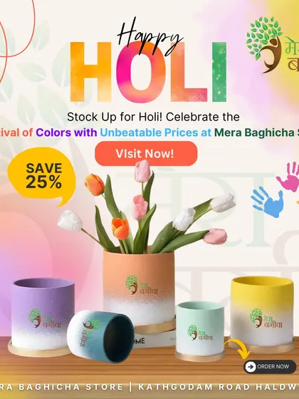 We love celebrating festivals with you! Here was our Holi Dhamaka offer, with a 25% discount on colorful pots to celebrate the festival of colors.