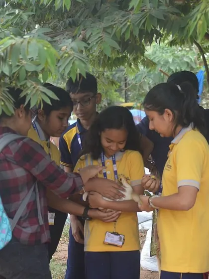Our garden is home to more than just plants. The students were delighted to meet and gently handle one of our resident rabbits, learning about the connection between plants and animals.