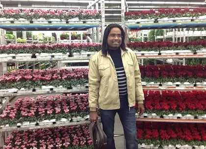 At a wholesale flower market in Europe, surrounded by trolleys packed with potted cyclamens and other flowers ready for distribution. The logistics of the global flower trade is incredible.