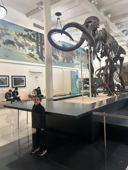 My son standing beside a massive mammoth skeleton. The museum is a treasure trove of learning, offering a journey through time that connects us to the incredible story of life on Earth.