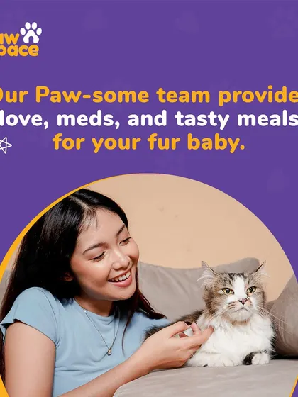 Our team is made up of dedicated pet lovers. We provide not just tasty meals but also the love, attention, and administration of any necessary medications to ensure your fur baby is happy and healthy with us.