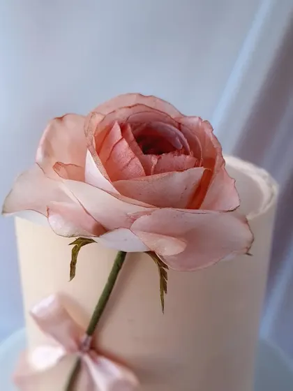 A close-up on the wafer paper rose, highlighting the subtle coloring and realistic texture.