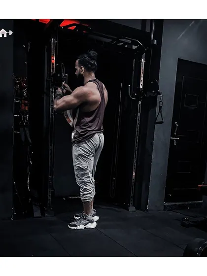 Everything I want, wants me more. A tricep pushdown on the cable machine, a crucial exercise for building the back of your arms.