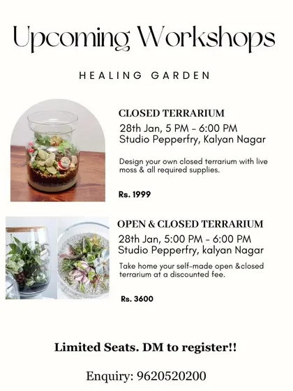 A flyer detailing our upcoming closed terrarium and combined open and closed terrarium workshops. Limited seats are available, so be sure to register early.