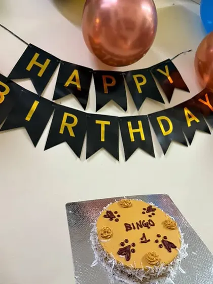 A close-up of Bingo's Zara Coconut Cake. It's topped with dog-safe frosting and shredded coconut, offering a unique and healthy flavor for your pup to enjoy.