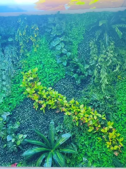 A full view of a large-scale artificial vertical garden I installed. The design uses a variety of plant types, from hanging vines to broad leaves, to create a rich and natural-looking jungle effect.