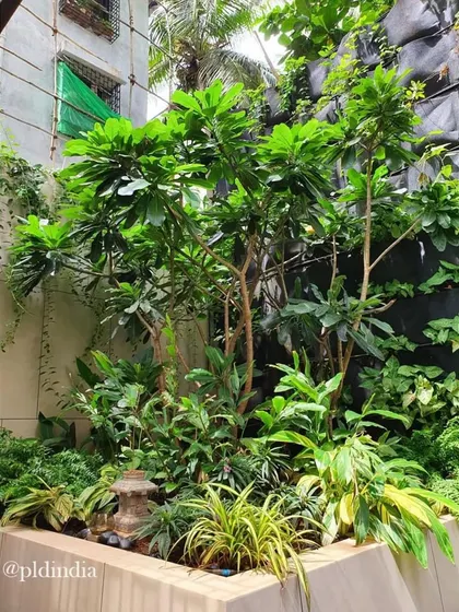 A small, intimate garden pocket packed with a variety of tropical plants. Even in tight spaces, we can create a rich, jungle-like feel with careful plant selection and placement.